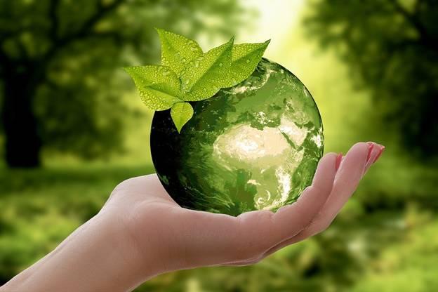 Единый урок по экологии и энергосбережения